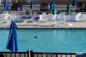 Ocean Pines Beach Club