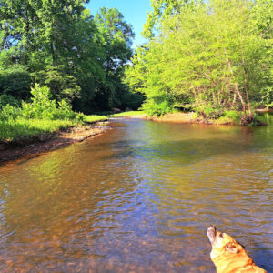 Old Iron Bridge Swimming Hole