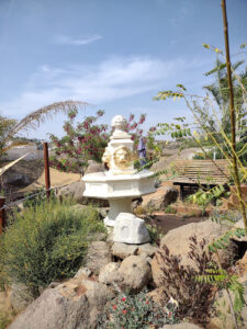 Palm View RV Park & Campground