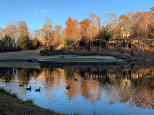 River Forest Golf Club