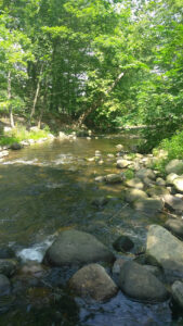 Rockwell Pool