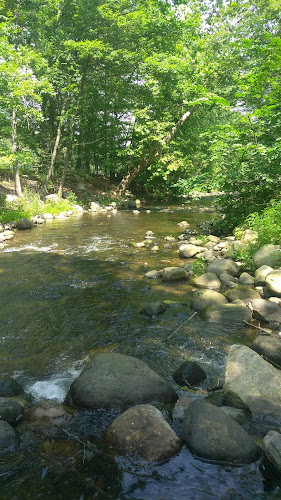 Rockwell Pool