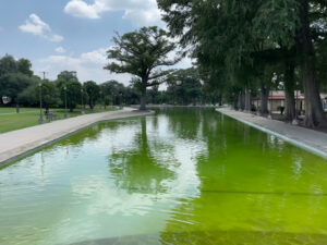 San Pedro Swimming Pool