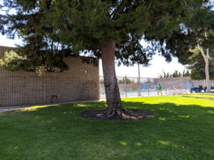 Scott Park Pool
