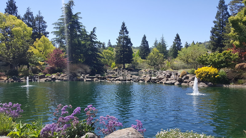 Seven Springs Swimming Pool