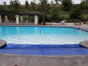 Solterra Swim Club