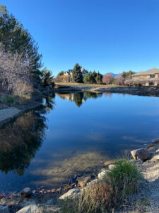 Somerset Pool