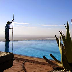 Springboard Pool Route Brokers