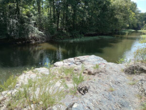 Sulphur Springs