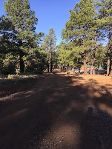 Swimming Pool – Camp Raymond