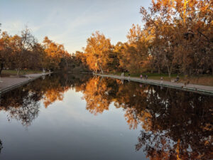 Sycamore Pool