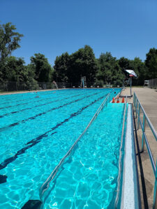 Terry Pool