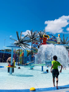 The Dublin Wave Community Center & Pool