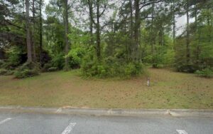 The OLD Battle Forrest Neighborhood Pool