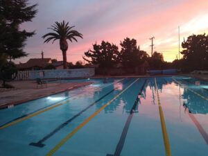 Treeview Swim Club