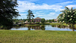 University Village Back Pool