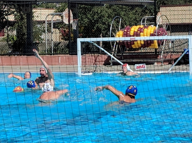 Vintage High School Pool