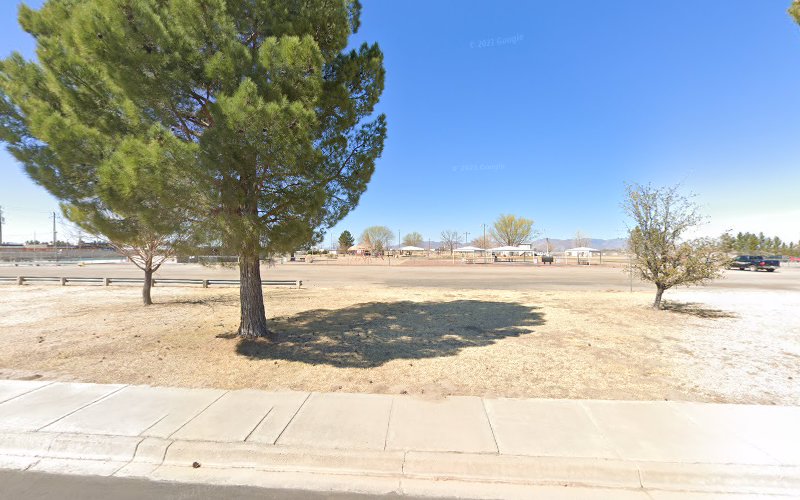 Willcox Pool