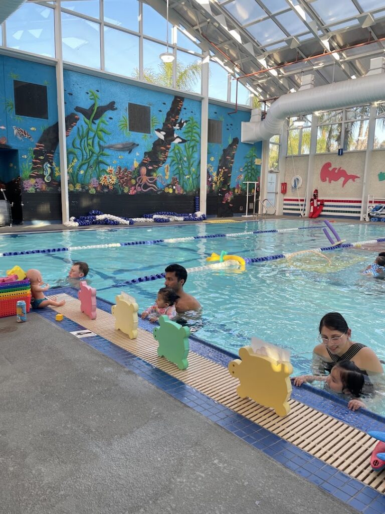 AVAC Swim School