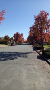 Almaden Cabana Club