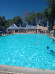AnT Swim School