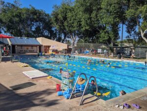 AnT Swim School
