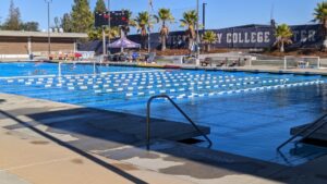 AnT Swim School