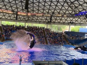 Aquatica San Antonio