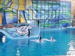 Aquatica San Antonio