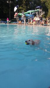 Bexley Pool