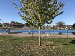 Brewer Municipal Pool and Playground