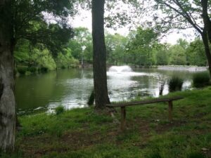 Cameron Wood Swim & Racquet Club