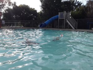 Canistota Pool
