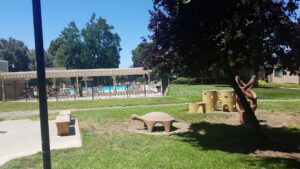 Copperwood Pool