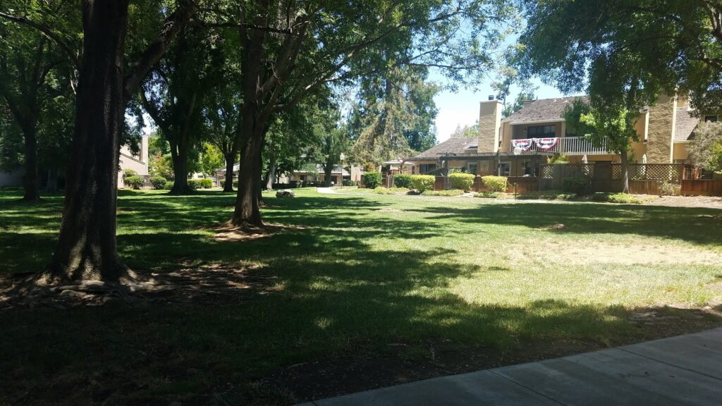 Photo of Copperwood Pool in San Jose