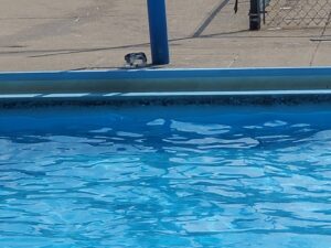DERC Pool