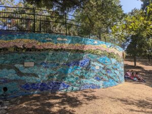 Deep Eddy Municipal Pool