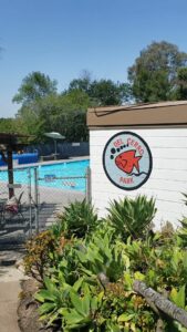 Del Cerro Pool