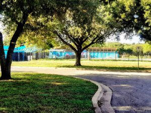 Dove Springs Pool