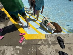 Dreamland Pool