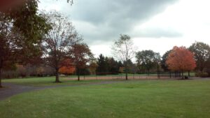 Dublin Community Pool North