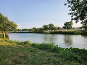 Elmendorf Lake Park