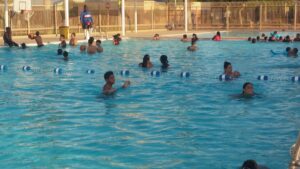 Falcon Pool