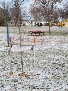 Freeman Swimming Pool Park