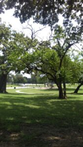 Glendale Pool