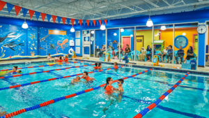 Goldfish Swim School – Warwick