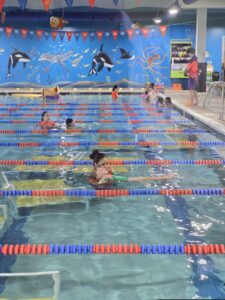 Goldfish Swim School – Warwick