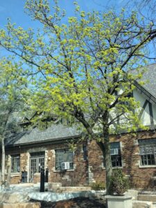Gompers Park Pool (Outdoor)