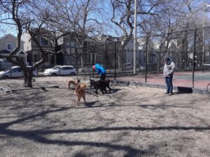 Hamlin Park