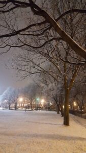 Hamlin Park